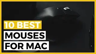 Best Mouses for Mac in 2024 - How to Choose a Mouse for Your Mac?