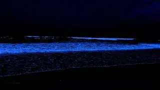 Healing of Stress to Deep Sleep Instantly with Ocean Wave Sounds on Night Beach