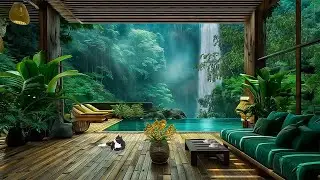 Relaxation Space in the High Forest | Healing with Waterfall Sound & Birdsong Helps You Sleep Better