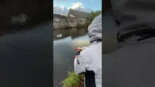 Случай на микроджиг 🔥🔥 #fishing #fishingvideo #spinning #микроджиг #рыбалка #спиннинг #джиг #щука