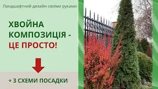 Хвойные растения в саду - создаем композицию!