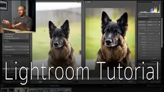 Lightroom Tutorial - Editing Photos for Beginners