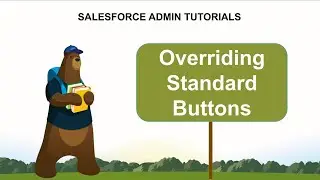 How to Override Standard Buttons With Visualforce or Lightning Component?| Salesforce Admin Tutorial