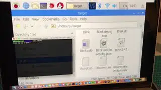 Camera project for Raspberry Pi 3 - C#, .NET Core on Raspbian