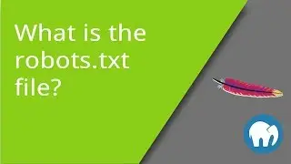 What is the robots.txt File