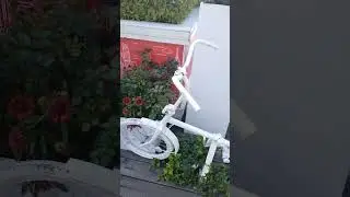 #цветы