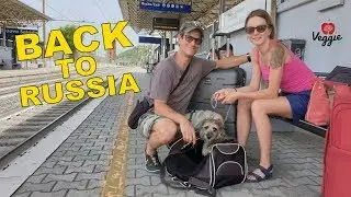 Back to Russia - Новое путешествие Veggie Channel в Россию, лето 2019