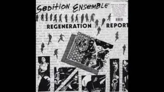 Sedition Ensemble - Digression On Triangles