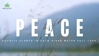 Serene Nature | 15-Minute Relaxing Meditation Music | Calming Water & Gentle Grass Movements.