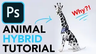 Animal Hybrid Photoshop Tutorial - WHY!?!