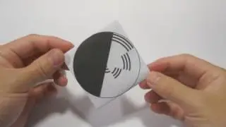 Optical Illusion - Benhams Disk using origami Spinning Top