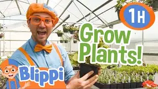 Blippi Grows Plants + Learns Colors! | Blippi | Preschool Kids Videos | Educational Content