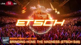 Dimitri Vegas & Like Mike - Bringing Home The Madness (ETSCH Edit)