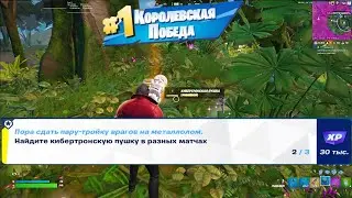 НАЙДИТЕ КИБЕРТРОНСКУЮ ПУШКУ В РАЗНЫХ МАТЧАХ FORTNITE / ТАК ЖЕ МОЖНО КУПИТЬ БОЕВОЙ ПРОПУСК FORTNITE