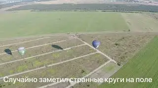 Странные круги в поле , случайно заметил