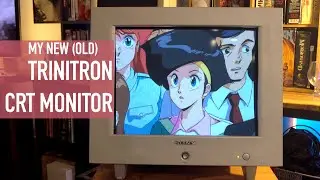 Sony Trinitron CRT Monitors Are Still Beautiful (Picked Up a 19" HMD-A400/L Monitor)