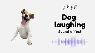 Dog laughing meme Sound Effect | Soundboard Link 🔽🔽