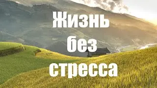 Как жить без стресса: мудрость, которая изменит ваш взгляд на жизнь