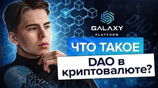 Что такое DAO в криптовалюте? Что такое DAO в криптовалюте и как зарабатывать на топ проектах?