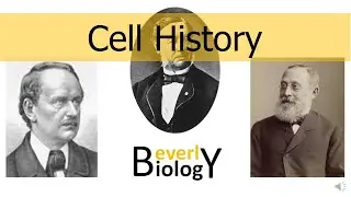 Cell History (updated)