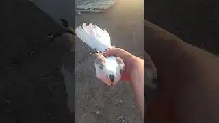 5 августа 2023 г.