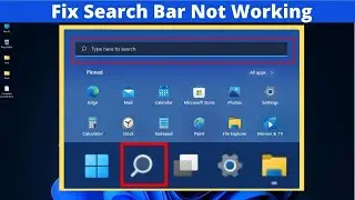 6 Easy ways to fix Search bar not working in Windows 11
