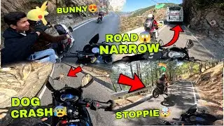 almost dog crash 😰|| Narrow roads ￼ problem ￼🥶🥵 || Bunny rider 😍🥰