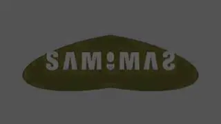 Samsung Logo History In Low Voice