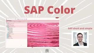 Beautiful SAP GUI Colors | Change SAP GUI Color easily