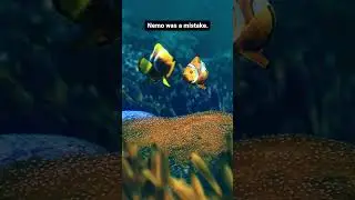 Nemo was a mistake.