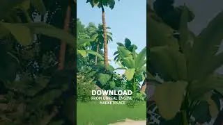 Unreal Engine: Stylized Tropical Environment