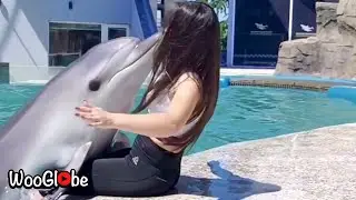 Amazing Dolphin Playing with Girl || WooGlobe