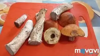 Fried boletus.