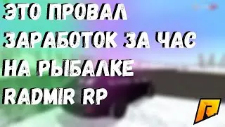 СКОЛЬКО ЗА ЧАС МОЖНО ЗАРАБОТАТЬ НА РЫБАЛКЕ НА RADMIR CRMP