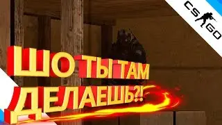 ШО ТЫ ТАМ ДЕЛАЕШЬ?!/ПУТЬ ГЛОБАЛА XD!/GS:GO ММ!/GS:GO СМЕШНЫЕ МОМЕНТЫ!