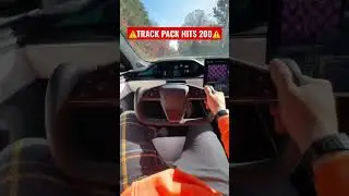 ⚠️Tesla Plaid CCB Track Package TOPS 200😳😮‍💨 Tesla Model S Plaid 🥵👀