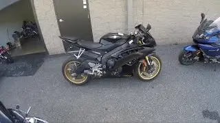 Yamaha R6 Why you Dont want this Bike