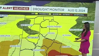 KDKA-TV Afternoon Forecast (8/12)