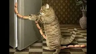 🐈 The perfect crime! 😺 A compilation of funny cats and kittens for a good mood! 😻