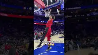 One day Trae 🤞 #hoops #dunk #dunkcontest