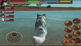 Wolf VS Wolf  Bear Fox Deer Rabbit Cougar Lynx Ultimate Wolf Simulator, Part 2