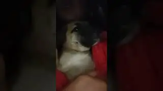 #елена_симакина