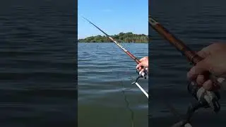 На що впіймати рибу з човна? Лише на таку насадку 