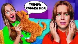 СОБАКА ВСТРЕТИЛА ХОЗЯЙКУ ПОСЛЕ МЕСЯЦА РАЗЛУКИ *Трогательно*