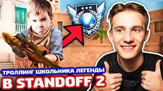 ШКОЛЬНИК ЛЕГЕНДА ВЫЗВАЛ МЕНЯ НА ГОЛДУ В STANDOFF 2 - ТРОЛЛИНГ!