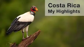 3 weeks in Costa Rica - My highlights (photos & videos)