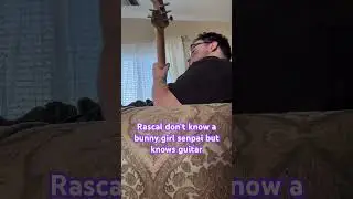 rascal does not dream of bunny girl senpai ending 1 guitar 🎸