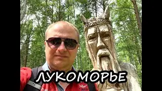 ЛУКОМОРЬЕ ИРКУТСК