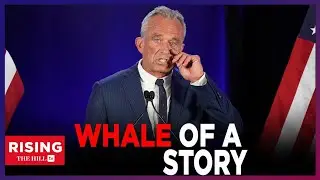 RFK Jr's DECAPITATED Whale Carcass Story REARS Its Ugly Head; Feds Open Probe