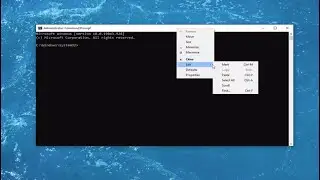 Fix 0x800f080c Hyper-V Error on Windows 10/11 [Tutorial]